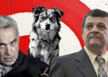 cum-ar-fi-ucis-calin-georgescu-un-caine,-cand-era-in-armata-/-cristian-sima:-s-a-enervat-si-a-tras