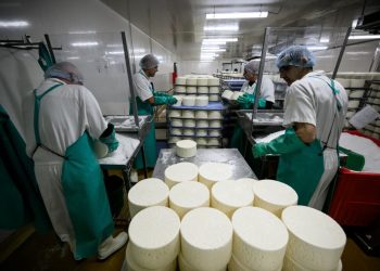 trei-solutii-simple-pentru-a-modifica-gustul-branzei-sarate