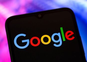 google-lanseaza-un-model-ai-pentru-identificarea-speciilor-de-fauna-salbatica