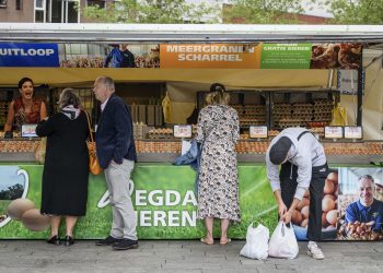 ramele,-motiv-pentru-un-avertisment-bizar-in-olanda-aliment-de-baza,-posibil-contaminat-–-hotnews.ro