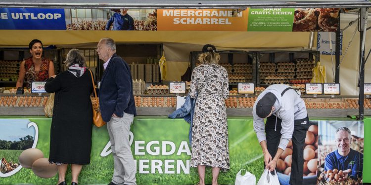 ramele,-motiv-pentru-un-avertisment-bizar-in-olanda-aliment-de-baza,-posibil-contaminat-–-hotnews.ro