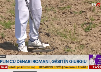 tezaur-roman-gasit-in-giurgiu:-aproape-1500-de-denari-de-argint,-descoperiti-de-un-cautator-amator