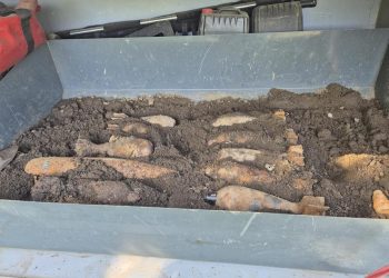 munitie-neexplodata,-descoperita-intr-o-padure-din-iasi-–-hotnews.ro