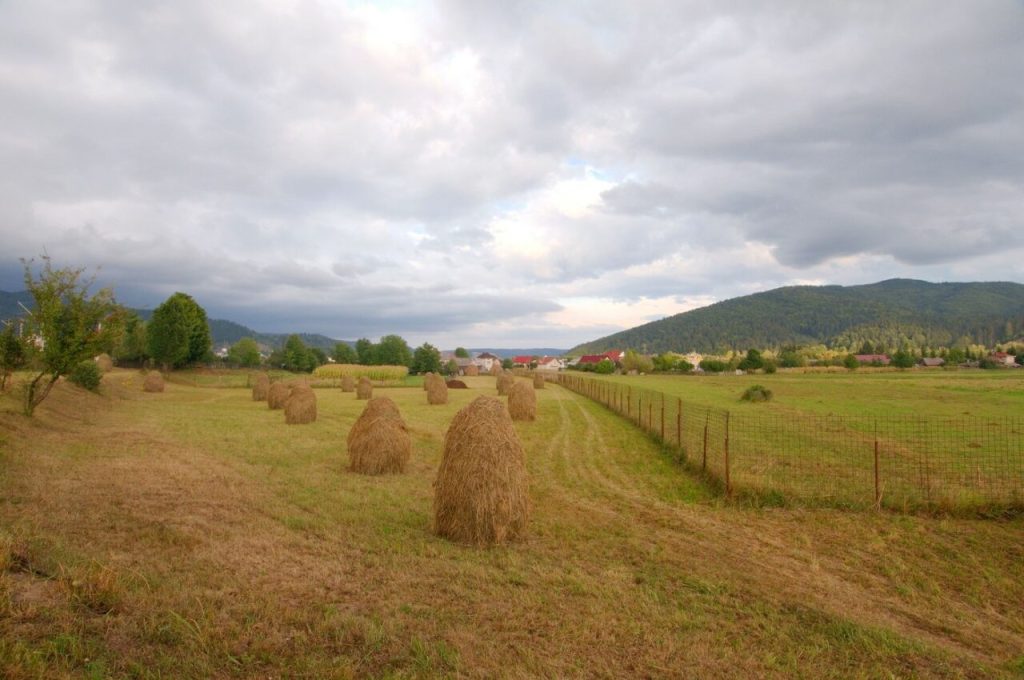presa-britanica,-despre-romania:-„un-mod-de-viata-traditional-este-pe-cale-de-disparitie”