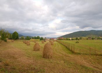 presa-britanica,-despre-romania:-„un-mod-de-viata-traditional-este-pe-cale-de-disparitie”