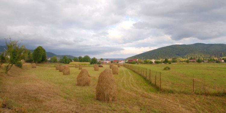presa-britanica,-despre-romania:-„un-mod-de-viata-traditional-este-pe-cale-de-disparitie”