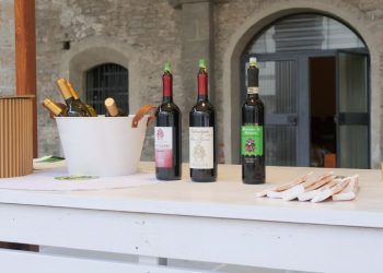 vinul-italian,-in-pericol-din-cauza-tarifelor-lui-trump