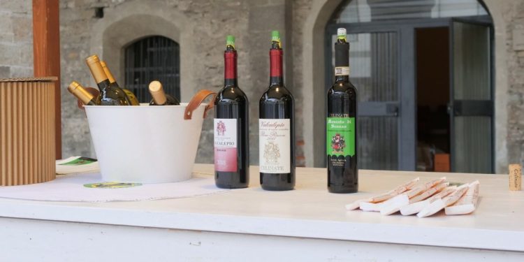 vinul-italian,-in-pericol-din-cauza-tarifelor-lui-trump