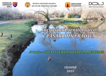 fotoexpozitia-incursiuni-ornitologice…-pasari-din-craiova-–-gazeta-de-sud