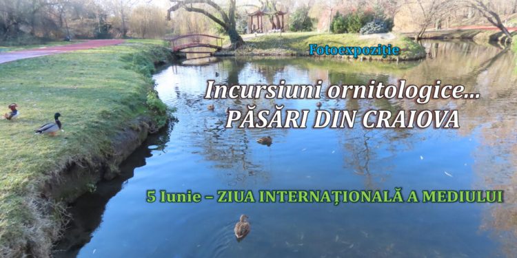 fotoexpozitia-incursiuni-ornitologice…-pasari-din-craiova-–-gazeta-de-sud