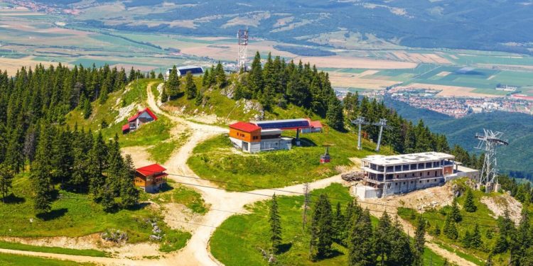 un-angajat-lidl-a-murit-in-team-building-in-masivul-postavarul/reactia-companiei