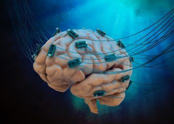 neuronii-s-au-conectat-la-cip:-primul-computer-viu-din-lume-schimba-regulile-jocului
