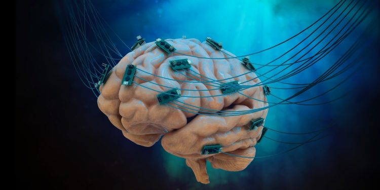 neuronii-s-au-conectat-la-cip:-primul-computer-viu-din-lume-schimba-regulile-jocului