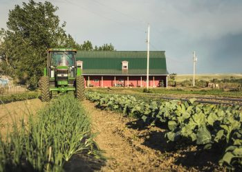 avertismentul-fermierilor.-eliminarea-taxarii-inverse-ar-aduce-un-nou-val-de-scumpiri