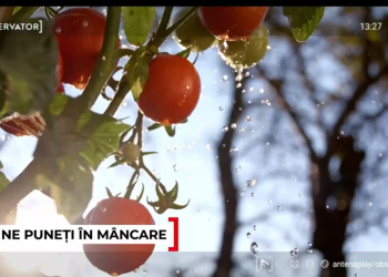 cum-ne-pot-pune-sanatatea-in-pericol-rosiile-cu-pesticide