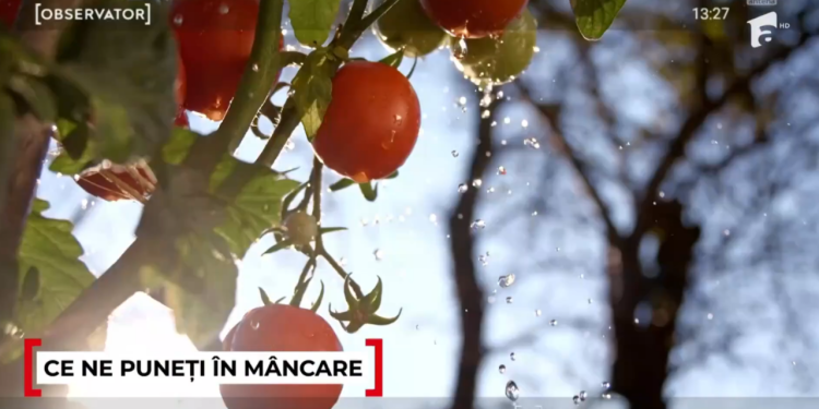 cum-ne-pot-pune-sanatatea-in-pericol-rosiile-cu-pesticide