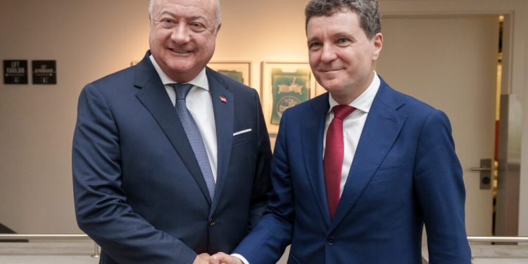 nicusor-dan-a-discutat-cu-cancelarul-austriei-despre-economie,-cooperare-si-extinderea-ue