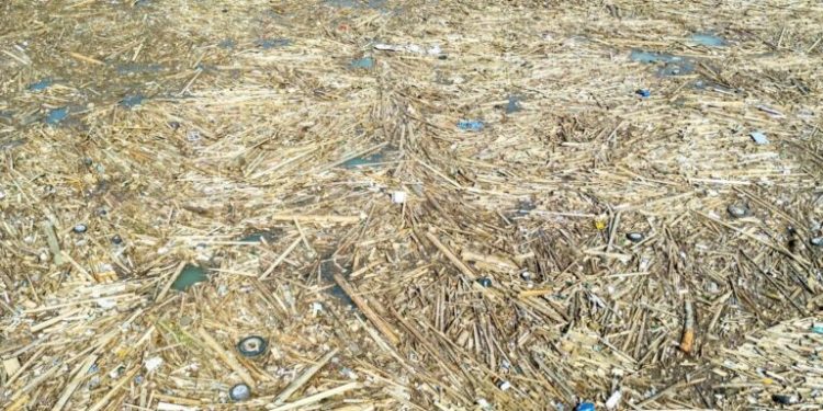 situatie-critica-la-barajul-bicaz.-80-de-mii-de-metri-cubi-de-lemne-aduse-de-viituri