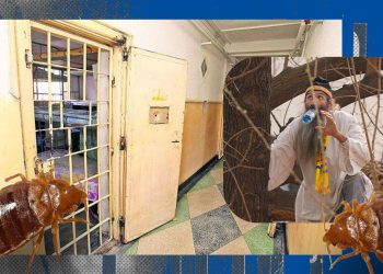 adevaratul-motiv-pentru-care-stegarul-dac-a-stat-11-ore-in-copacul-din-curtea-puscariei