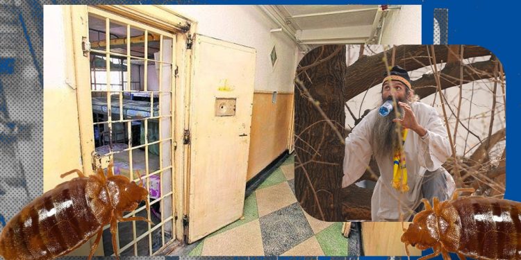 adevaratul-motiv-pentru-care-stegarul-dac-a-stat-11-ore-in-copacul-din-curtea-puscariei