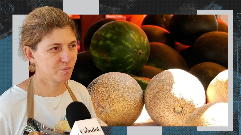 cum-alegem-un-pepene-copt-si-dulce.-cele-mai-tari-ponturi,-direct-de-la-producatori