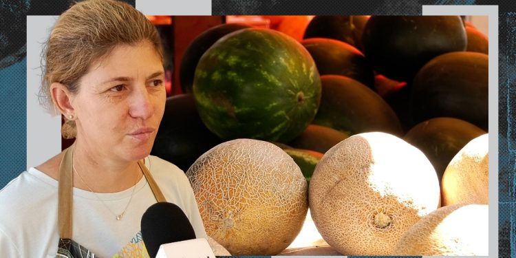 cum-alegem-un-pepene-copt-si-dulce.-cele-mai-tari-ponturi,-direct-de-la-producatori