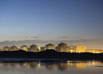 centrala-nucleara,-paralizata-de-infiltrarea-unui-roi-masiv-si-imprevizibil-de-meduze-–-hotnews.ro