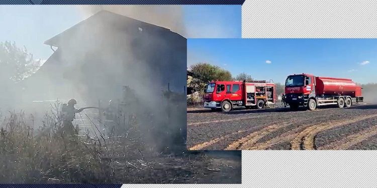 incendiu-de-vegetatie-intr-o-localitate-din-ilfov.-o-casa-a-luat-foc