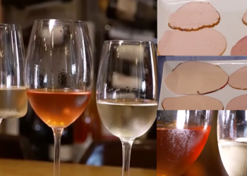 ce-vinuri-merg-cu-fiecare-tip-de-parizer:-arta-potrivirii