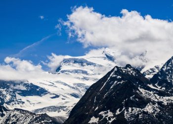 elvetia-vrea-sa-reduca-risipa-alimentara-la-jumatate-pana-in-2030