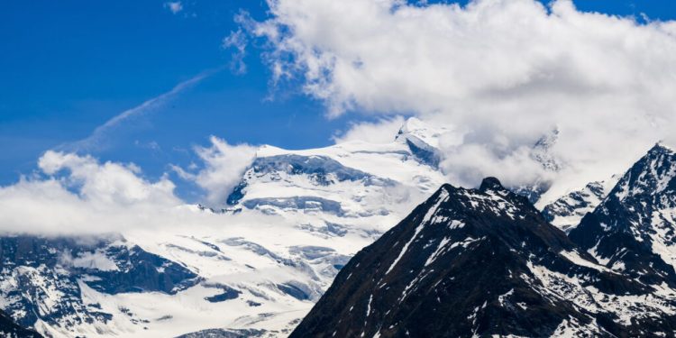 elvetia-vrea-sa-reduca-risipa-alimentara-la-jumatate-pana-in-2030