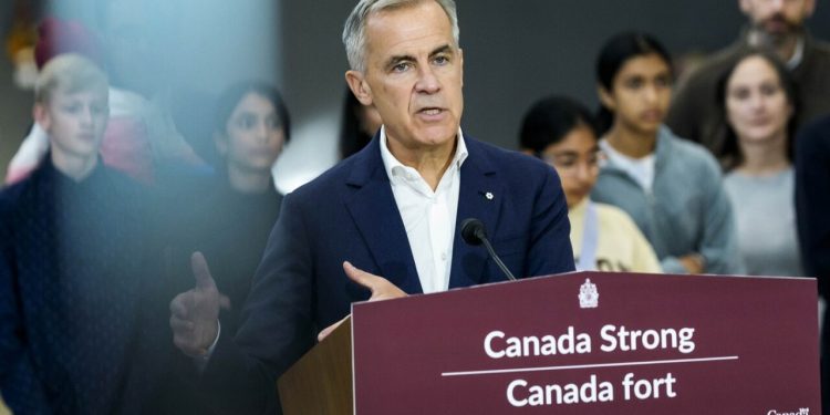 premierul-canadei-vrea-ca-nato-sa-doboare-avioanele-rusiei