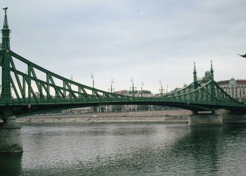 liliecii-opresc-podul-peste-dunare!-austria-se-loveste-de-aceeasi-problema-ca-romania