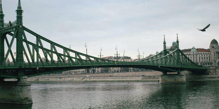 liliecii-opresc-podul-peste-dunare!-austria-se-loveste-de-aceeasi-problema-ca-romania