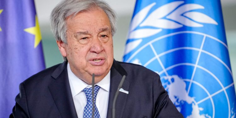 amazonul-risca-sa-devina-savana-–-avertisment-dur-inaintea-cop30