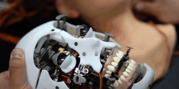 robotii-umanoizi,-pariul-cel-mare-in-inteligenta-artificiala.-cat-de-aproape-suntem?