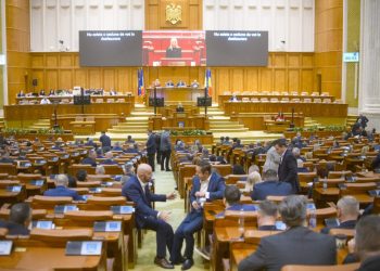 legea-femicidului,-depusa-in-parlament-cu-sprijinul-a-peste-250-de-parlamentari