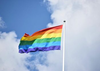 doi-barbati-acuzati-ca-au-planuit-atacuri-teroriste-in-barurile-lgbtq+-din-detroit