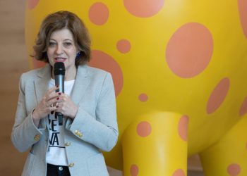 radu-marinescu-spune-ca-nu-a-primit-plangerea-impotriva-oanei-gheorghiu