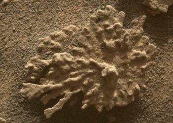 nasa-sustine-ca-a-descoperit-pe-marte-un-vizitator-din-afara-sistemului-nostru-solar