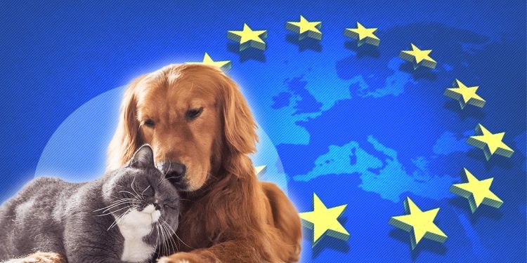 uniunea-europeana-impune-reguli-noi-pentru-proprietarii-animalelor-de-companie