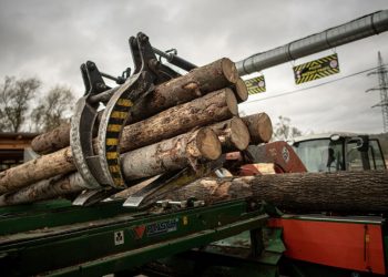legea-impotriva-defrisarilor-va-fi-amanata-inca-un-an,-decide-parlamentul-european