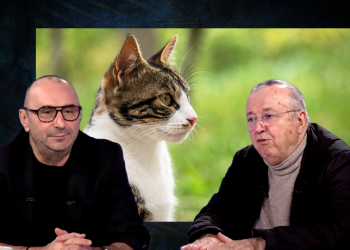 ion-cristoiu:-am-luat-o-pisicuta-de-mila,-in-scurt-timp-a-devenit-stapana-casei.-este-usr-ista-clar