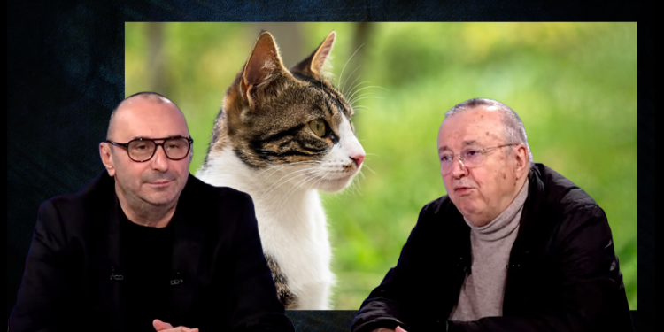 ion-cristoiu:-am-luat-o-pisicuta-de-mila,-in-scurt-timp-a-devenit-stapana-casei.-este-usr-ista-clar