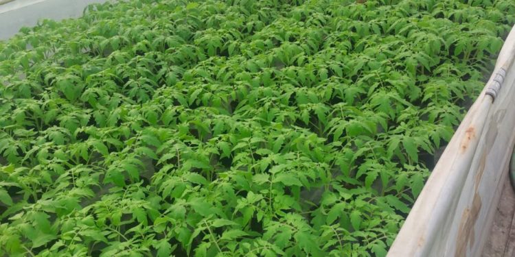 o-noua-categorie-de-producatori-ar-putea-fi-afectata-de-taxele-bolojan.-care-ar-putea-fi-efectul-devastator-asupra-preturilor-alimentelor