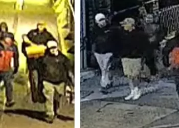 un-nou-furt-in-lumea-muzeelor:-600-de-artefacte-de-mare-valoare-au-disparut-din-bristol