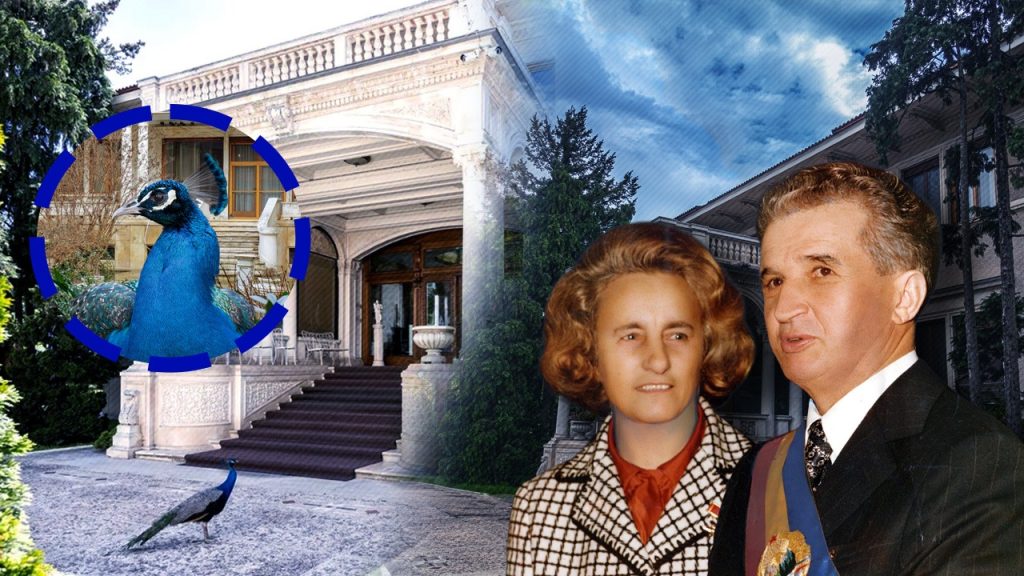 la-36-de-ani-de-la-revolutie,-urmasii-paunilor-lui-nicolae-ceausescu-se-plimba-inca-liberi-prin-gradina-resedintei-din-primaverii