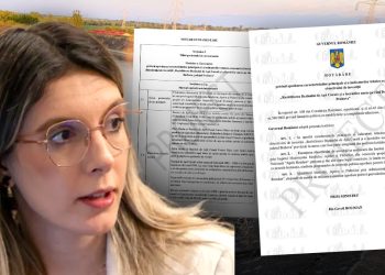 dupa-succesul-motiunii-simple,-diana-buzoianu-incearca-sa-si-salveze-scaunul