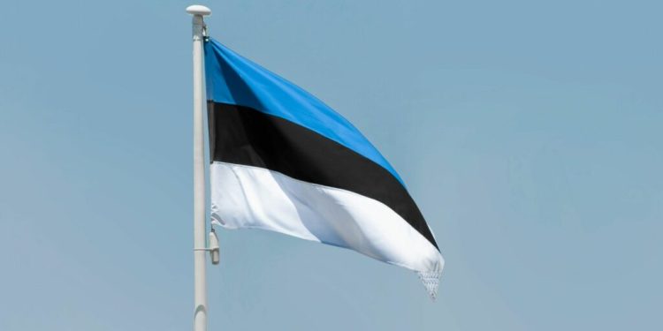 estonia-incepe-constructia-de-buncare-la-granita-cu-rusia,-parte-a-liniei-de-aparare-baltice