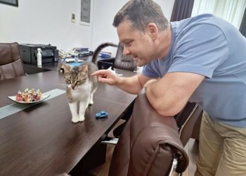 ciucu-vrea-o-mata-si-la-primaria-capitalei:-iubesc-pisicile,-dar-trebuie-sa-fie-in-siguranta